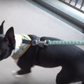 帰りたくないよー！…