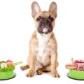犬はそら豆を食べて…
