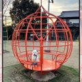 公園の遊具に乗りた…