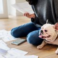 『費用がかかる犬』…