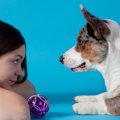 犬が飼い主と見つめ…