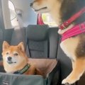 後部座席に乗ってい…