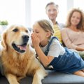 犬に『話しかけたほ…