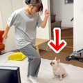 体育テストを控えた…