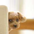 さりげなく視線で合…