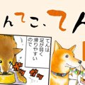 てんてこ、てん。【…