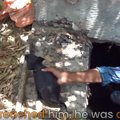 排水管の奥深くから…