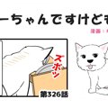 ちーちゃんですけど…