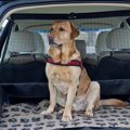 犬用の車シート（カ…