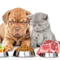 ペットの生肉フード…