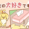 ただの犬好きです。…