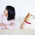 犬を『衝動買い』し…
