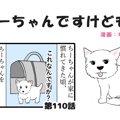 ちーちゃんですけど…