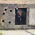 まだ2歳なのにまるで…