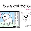 ちーちゃんですけど…