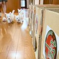 朝、7匹の子犬のご飯…