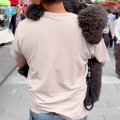 『歩くの疲れた』と…