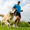 犬の『老化』は防止…