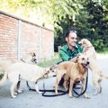 犬好きだけじゃ務ま…