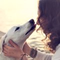 愛犬の癒しは飼い主…