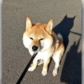 『ちょっと嫌です…』…