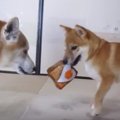 優しい世界♡喧嘩する…