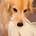 洗濯物を干しに行っ…