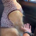 車で『買い物中の妻…