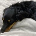 ベッドで眠っていた…