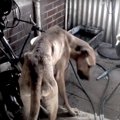 ネグレクト環境の中…