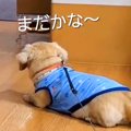 毎週末、施設にいる…