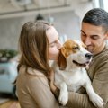 共働きの家庭でも犬…