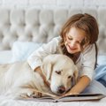 「動物介在読書プロ…