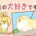 ただの犬好きです。…