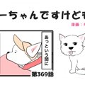 ちーちゃんですけど…