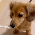 生まれて初めて『お…