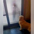 大好きなお兄ちゃん…