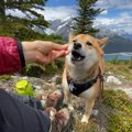 美しいカナダの山で…