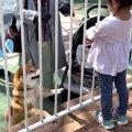 3歳の女の子が『テー…