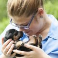 犬の「臨界期」って…