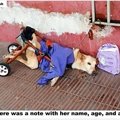 後ろ足が麻痺した犬…