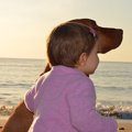 子供が生まれたら犬…