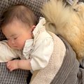 赤ちゃんが『生まれ…