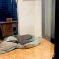 家に帰ったら『中庭…