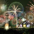  犬が花火の音を怖が…