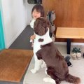 ドアの前でパパの帰…