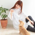犬の気質によって与…