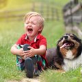 犬も家族ロスになる…