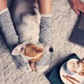 犬が『飼い主の足元…