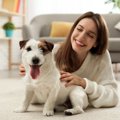 犬を飼って長い人が…